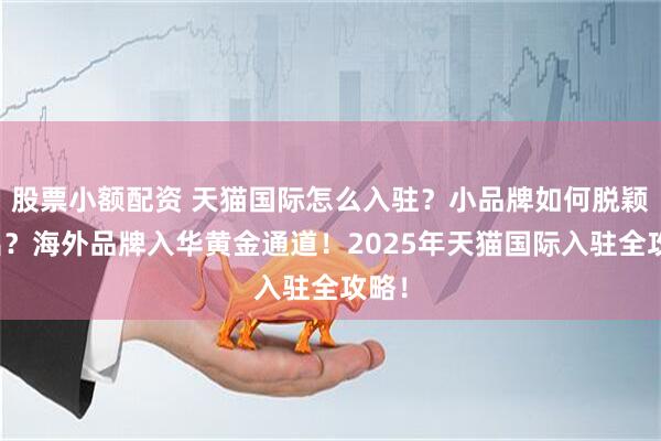 股票小额配资 天猫国际怎么入驻？小品牌如何脱颖而出？海外品牌入华黄金通道！2025年天猫国际入驻全攻略！