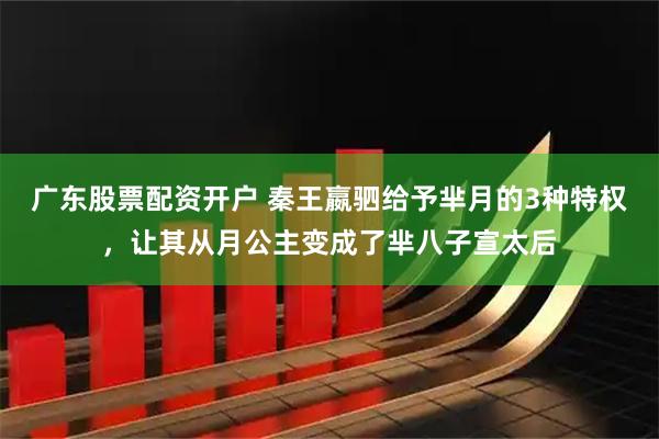 广东股票配资开户 秦王嬴驷给予芈月的3种特权，让其从月公主变成了芈八子宣太后