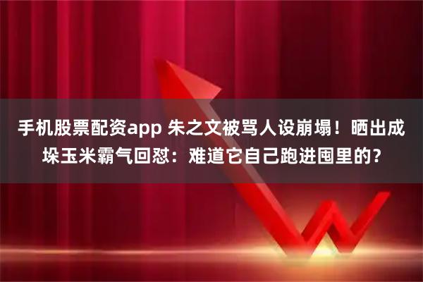 手机股票配资app 朱之文被骂人设崩塌！晒出成垛玉米霸气回怼：难道它自己跑进囤里的？